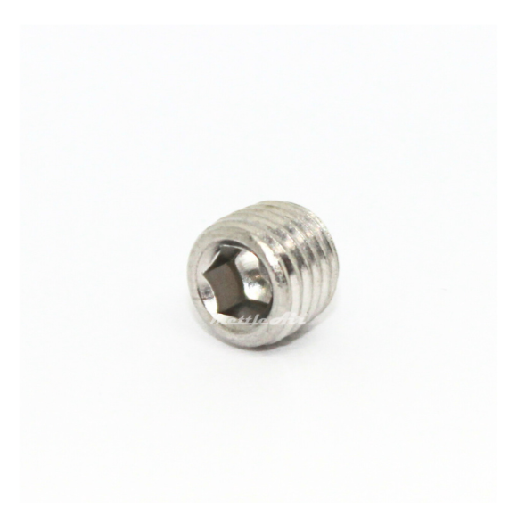 316L Stainless Steel 1/16" NPT Male Countersunk Plug