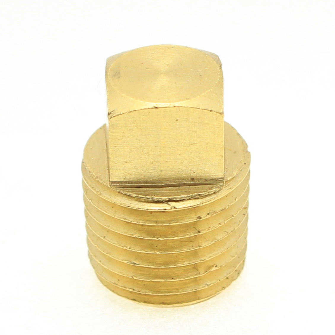 Brass Square Head Plug 1/4" NPT Male