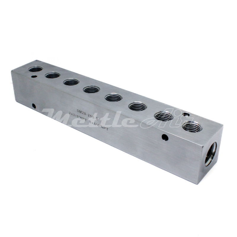 Stainless Steel 316L Manifold 2 x 3/8" NPT In - 8 x 1/4" NPT Out