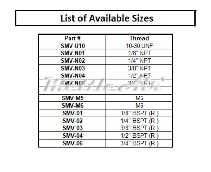 SS316L Filter Wire Mesh 110 microns / Vent Protector 3/8" BSPT (R)